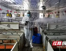 包含最新：库里进球数超C罗巅峰的词条|体育直播在线观看